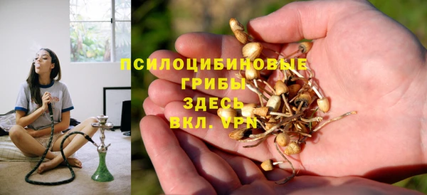 дживик Балахна