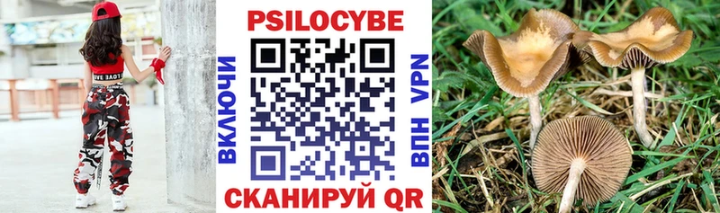 Псилоцибиновые грибы Cubensis  Черемхово 